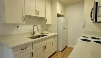 525 Mananai Pl Honolulu - Rental - photo 4 of 10