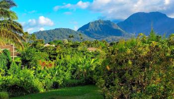 5323 Honoiki Road  Princeville, Hi vacant land for sale - photo 2 of 6