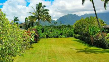 5323 Honoiki Road  Princeville, Hi vacant land for sale - photo 6 of 6