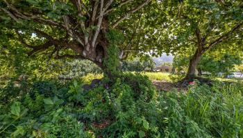 53-30 Pokiwai Pl  Hauula, Hi vacant land for sale - photo 4 of 5