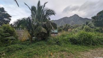 53-354 Kamehameha Hwy 3F Hauula, Hi vacant land for sale - photo 6 of 15