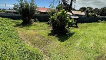 53-3988  Kii Place Ainakea, North Kohala home - photo 5 of 20