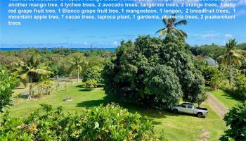 53-416  Kamehameha Hwy Punaluu, Kaneohe home - photo 2 of 25