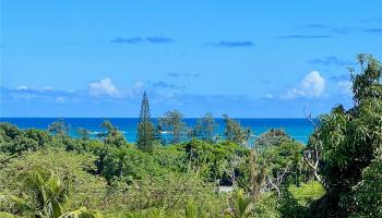 53-416  Kamehameha Hwy Punaluu, Kaneohe home - photo 5 of 25