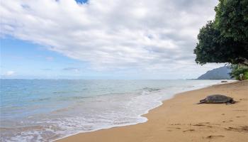 Hanohano Hale condo # 209, Hauula, Hawaii - photo 1 of 19