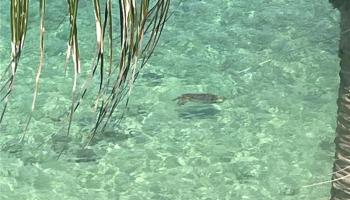 Hanohano Hale condo # 707, Hauula, Hawaii - photo 2 of 21