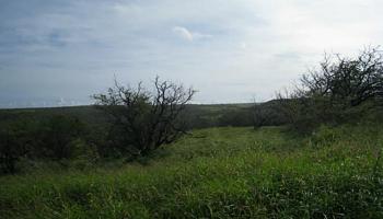 55 Kaula Rd Maunaloa, Hi 96770 vacant land - photo 4 of 6 55 Kaula Rd Maunaloa, Hi 96770 vacant land - photo 4 of 6