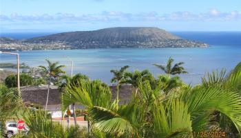 550  PuuIkena Drive Hawaii Loa Ridge, Diamond Head home - photo 5 of 25