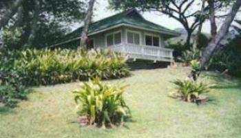 55089 Kamehameha Hwy Laie, North Shore home - photo 5 of 6