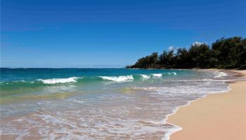 55-137 Kamehameha Hwy B Laie, Hi vacant land for sale - photo 2 of 14