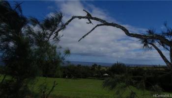 55-270 Hoea Rd  Hawi, Hi vacant land for sale - photo 1 of 8