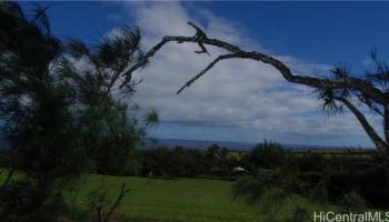 55-270 Hoea Road  Hawi, Hi vacant land for sale - photo 1 of 1