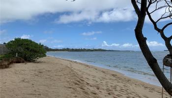 55371  Kamehameha Hwy Laie, North Shore home - photo 6 of 23