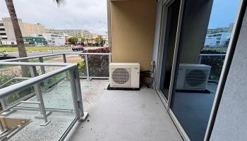 555 South Street Honolulu - Rental - photo 5 of 20