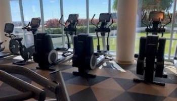 555 South St Honolulu - Rental - photo 6 of 12