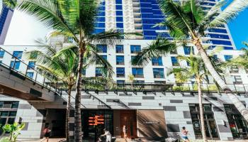 555 South St Honolulu - Rental - photo 1 of 15