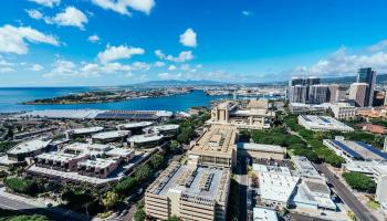 555 South Street Honolulu - Rental - photo 3 of 15