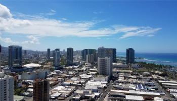 555 South Street Honolulu - Rental - photo 5 of 21