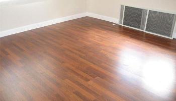 5622 Kanau Street Honolulu - Rental - photo 5 of 12