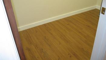 5622 Kanau Street Honolulu - Rental - photo 6 of 12