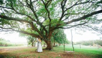 56-2864 Akoni Pule Hwy Hawi Big Island commercial real estate photo5 of 6