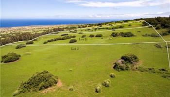 57-1495 Puuhue-honoipo Rd  Hawi, Hi vacant land for sale - photo 4 of 18