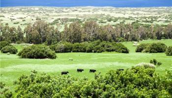 57-1495 Puuhue-honoipo Rd  Hawi, Hi vacant land for sale - photo 6 of 18