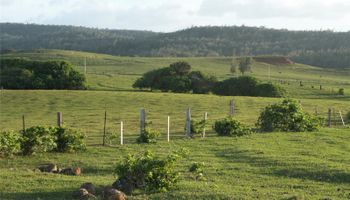 58-248 Kamehameha Hwy C2 Haleiwa, Hi vacant land for sale - photo 5 of 7