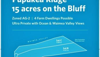 59 Maulukua Road  Haleiwa, Hi vacant land for sale - photo 5 of 6