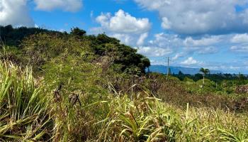 59-056B Kamehameha Hwy 59-56B-1 Haleiwa, Hi vacant land for sale - photo 4 of 10