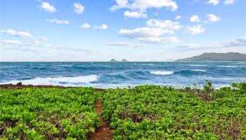 592  Kaimalino Street Kaimalino, Kailua home - photo 4 of 25