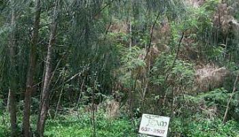 59-618 Pupukea Rd HALEIWA, Hi 96712 vacant land - photo 1 of 1 59-618 Pupukea Rd HALEIWA, Hi 96712 vacant land - photo 1 of 1