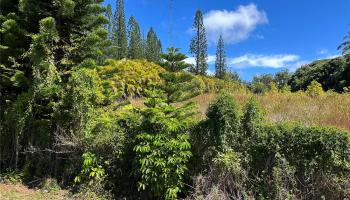 59-772 Kanalani Place  Haleiwa, Hi vacant land for sale - photo 1 of 4