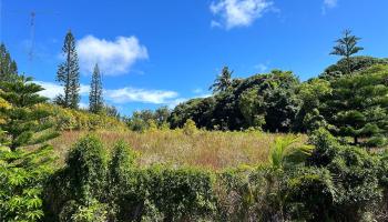 59-772 Kanalani Place  Haleiwa, Hi vacant land for sale - photo 2 of 7