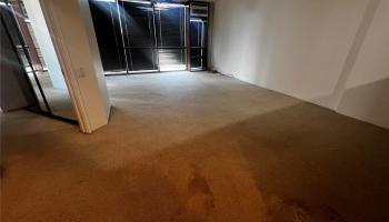 60 N Beretania St Honolulu - Rental - photo 3 of 17