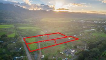 61-1121 Kaukonahua Road 3 Waialua, Hi vacant land for sale - photo 6 of 25