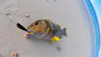 61-1121 Kaukonahua Road 5 Waialua, Hi vacant land for sale - photo 3 of 19