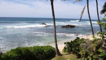 61-313 Kamehameha Hwy Haleiwa - Rental - photo 3 of 25