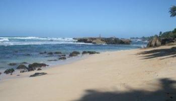 61-313 Kamehameha Hwy Haleiwa - Rental - photo 4 of 17