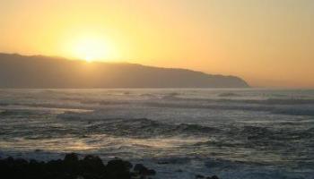 61-313 Kamehameha Hwy Haleiwa - Rental - photo 5 of 17