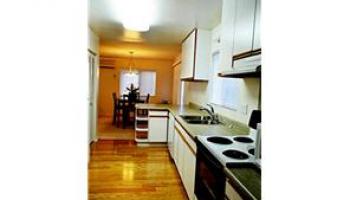 614 Captain Cook Ave Punchbowl-lower, Honolulu home - photo 4 of 17