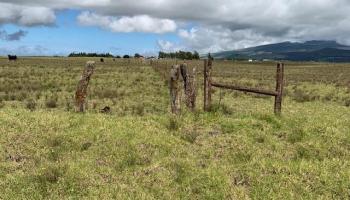 64 N/A Road  Kamuela, Hi vacant land for sale - photo 2 of 12