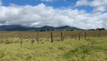 64 N/A Road  Kamuela, Hi vacant land for sale - photo 3 of 12