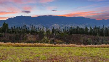 64-486 Kamehameha Hwy 33C Haleiwa, Hi vacant land for sale - photo 3 of 10