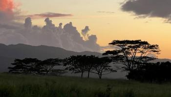 64-486 Kamehameha Hwy 35I Haleiwa, Hi vacant land for sale - photo 3 of 4