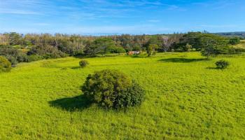 64-486 Kamehameha Hwy 35I Wahiawa, Hi vacant land for sale - photo 3 of 16