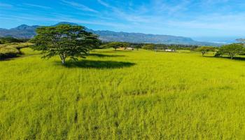 64-486 Kamehameha Hwy 35I Wahiawa, Hi vacant land for sale - photo 4 of 16