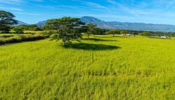 64-486 Kamehameha Hwy 35I Wahiawa, Hi vacant land for sale - photo 6 of 16