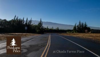64-6105 Okada Farms Place  Kamuela, Hi vacant land for sale - photo 1 of 2