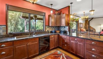 64-645  Mamalahoa Hwy Puukapu Hmstd, South Kohala home - photo 3 of 24